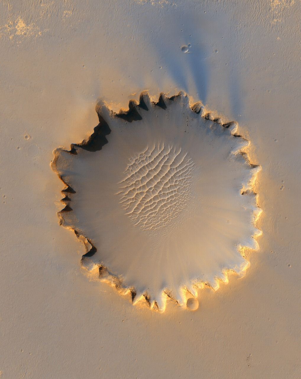 entdecken sie die wichtigsten umweltfolgen und ihre auswirkungen auf unsere welt. erfahren sie mehr über ursachen, lösungen und nachhaltige ansätze zum schutz unserer umwelt.